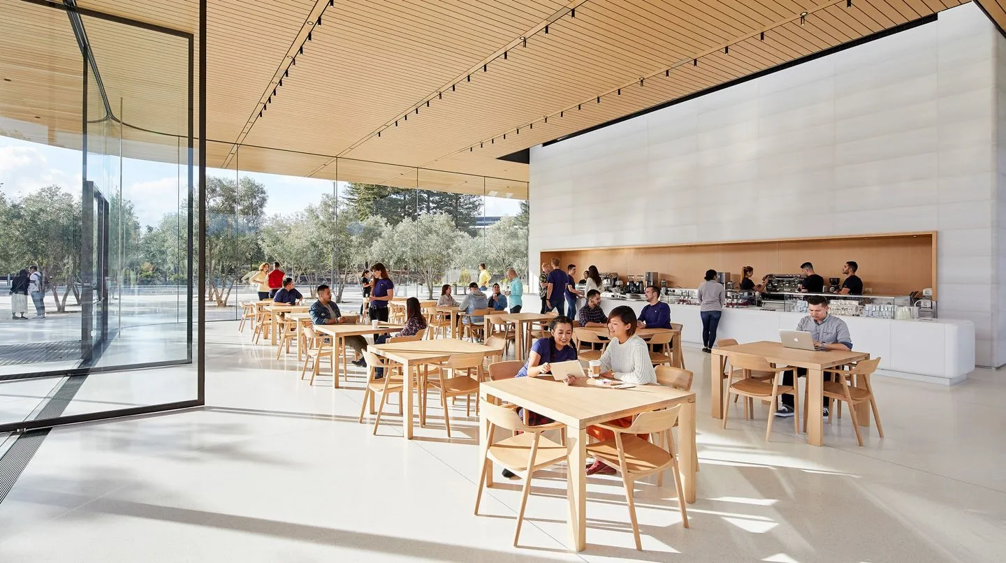 A cafe with long timber tables beside a glass wall and olive trees